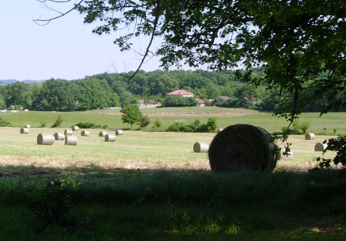 View across the fields at Barrusclet farmhouse gite