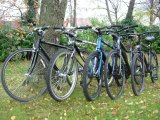 Barrusclet bicycles to rent