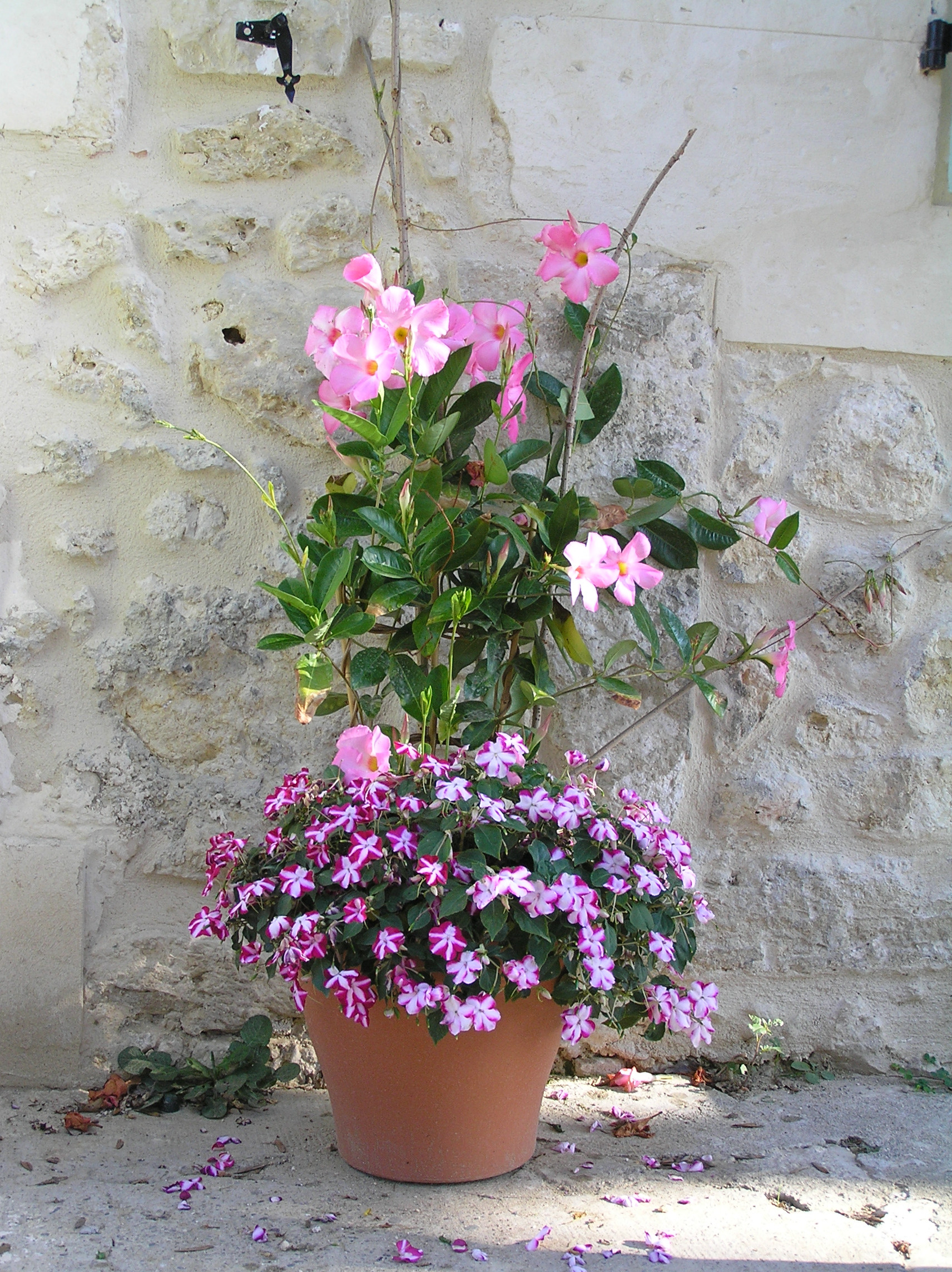Flower tubs at Barrusclet farmhouse gite