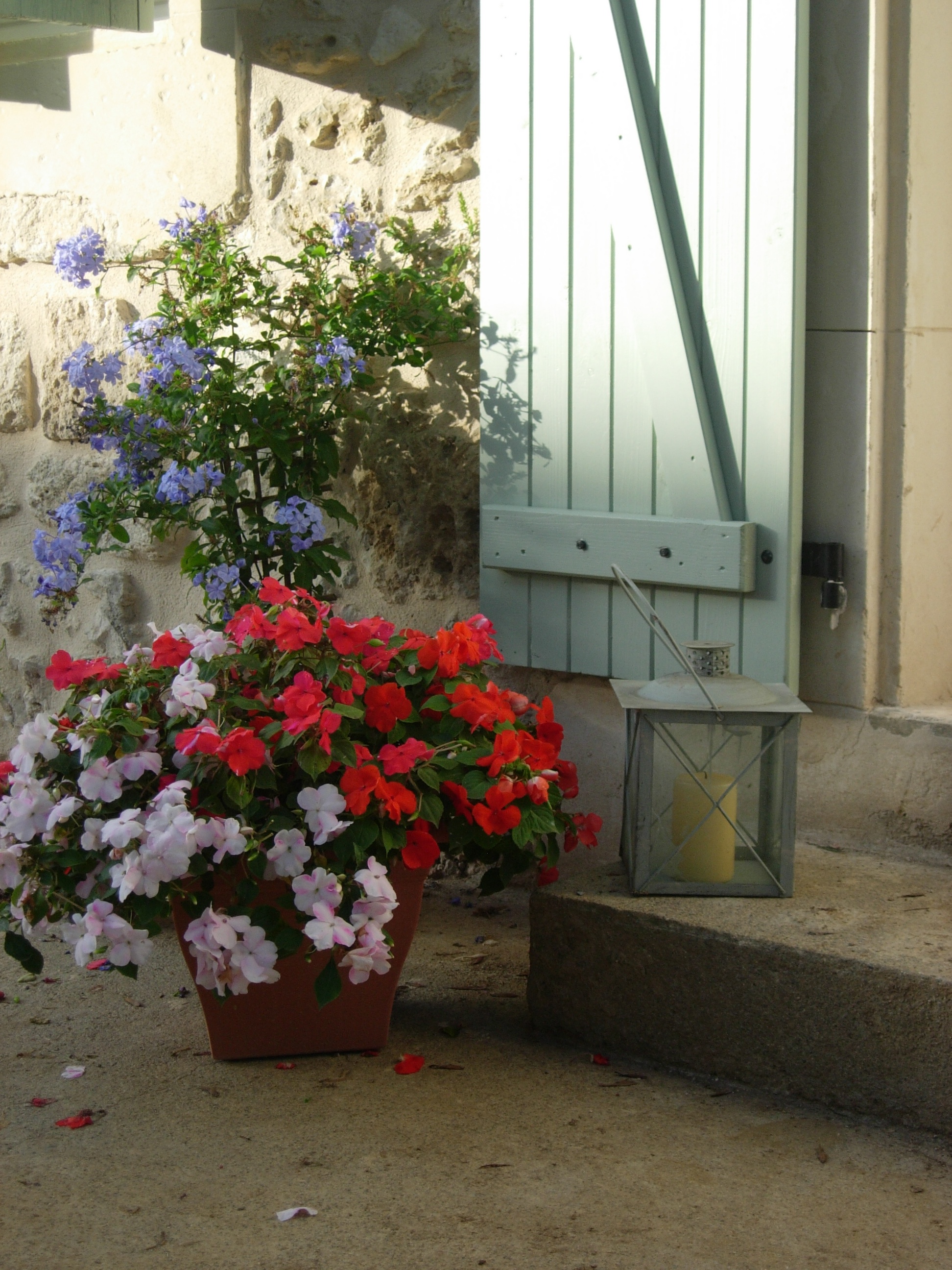 Welcoming flowers at Barrusclet